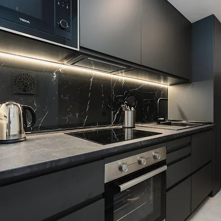 Modern Luxury 2b In Puerto Banus